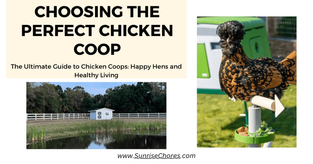 Choosing The Perfect Chicken&nbsp;Coop