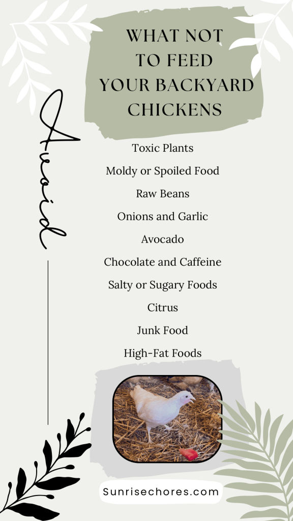 A small picture of a young white chicken.