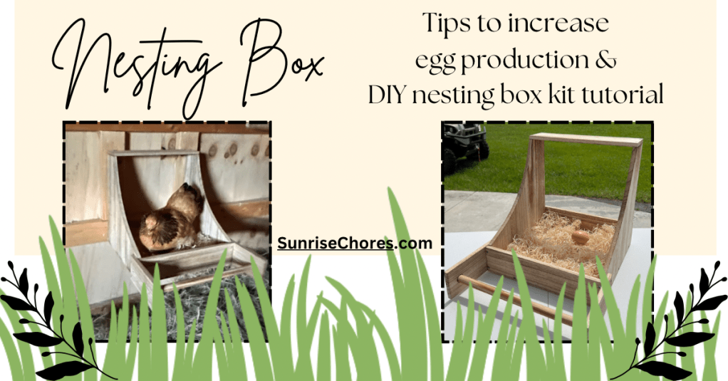Chicken Nesting Boxes&nbsp;Tips