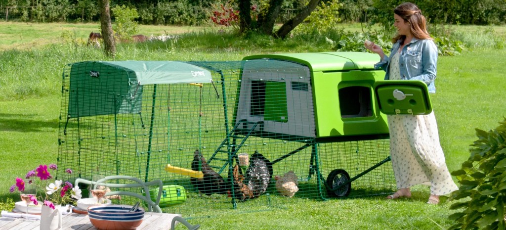 a backyard coop with a small run with hens