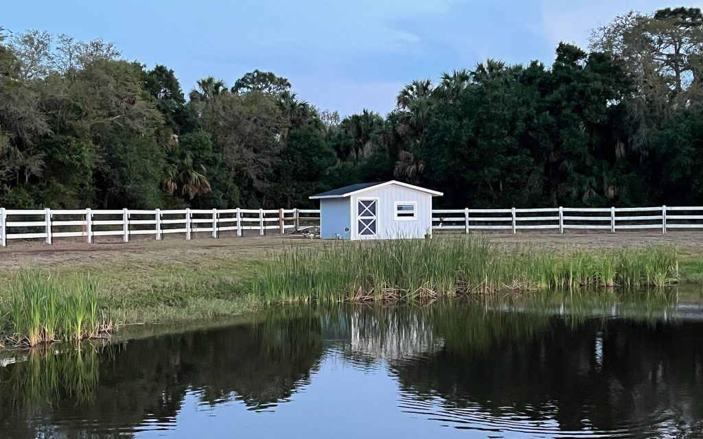 Light gray wood chicken coop next to a pond and white fence.