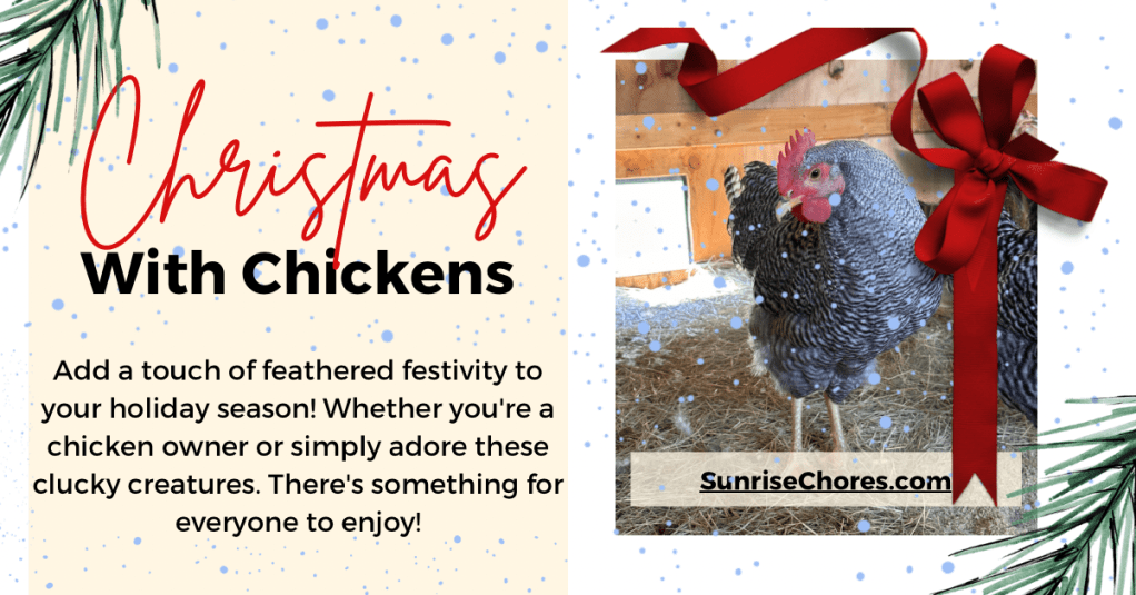 Christmas With Chickens