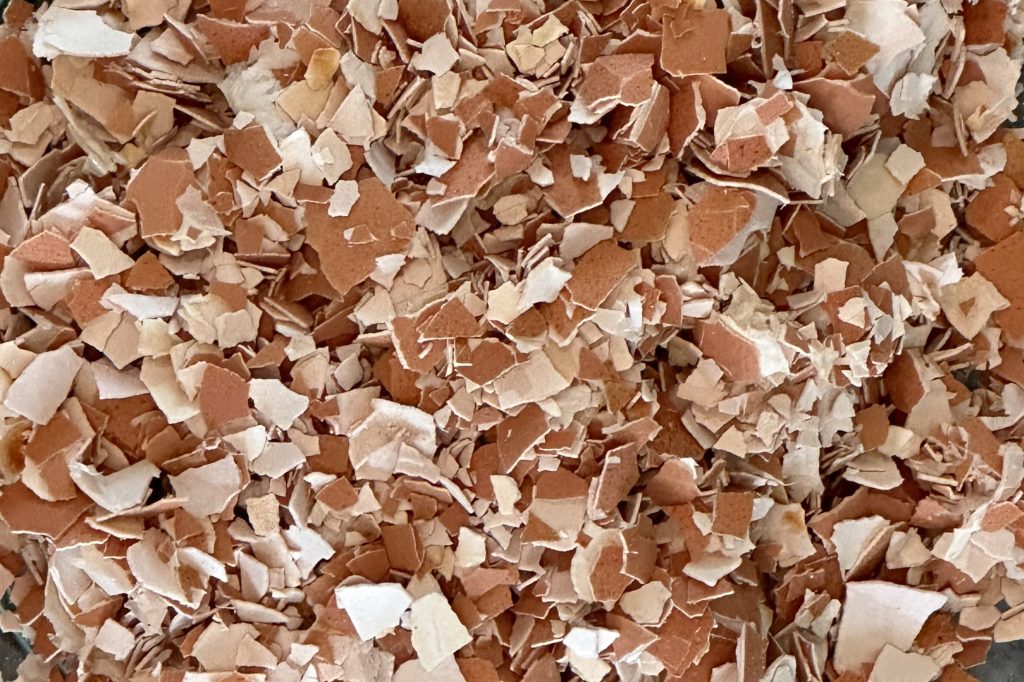 Crushed white and tan eggshells.