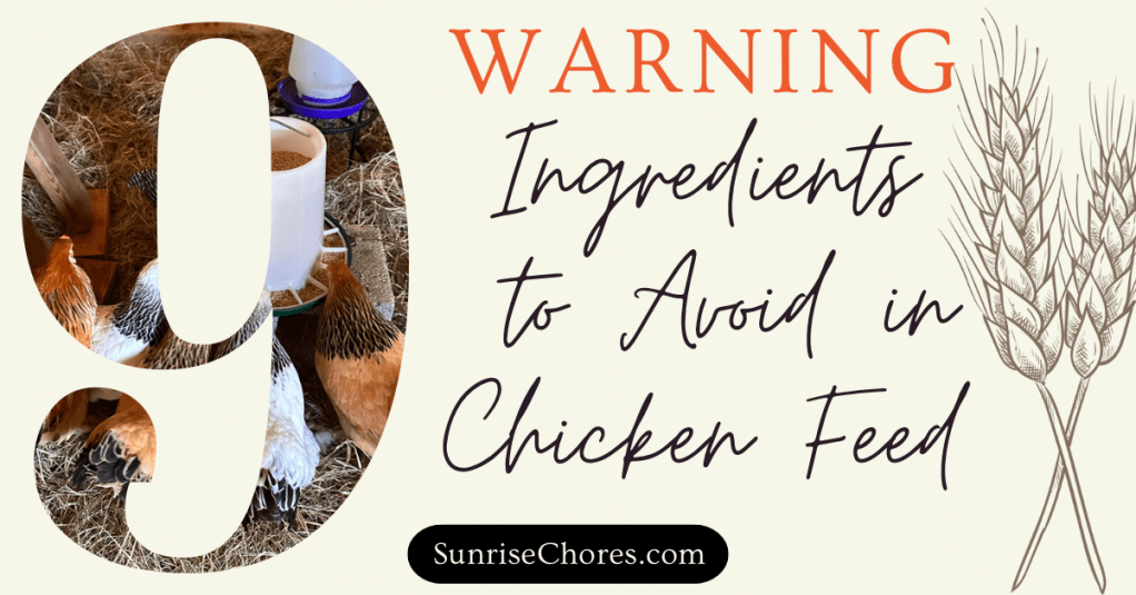 9 Ingredients to Avoid in Chicken&nbsp;Feed