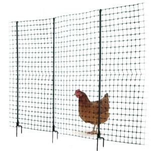 Chicken wire fencing and post with a brown hen standing on one side.