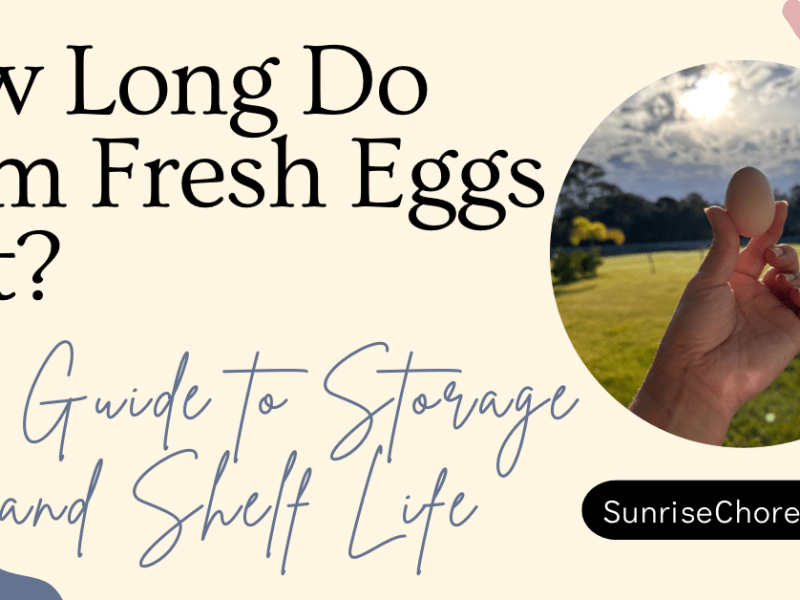 How Long Do Farm Fresh Eggs&nbsp;Last?