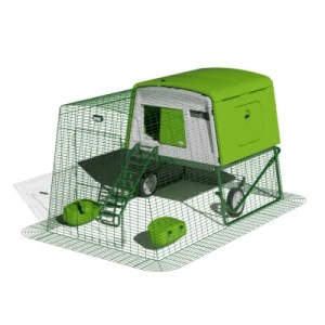 Green chicken coop with run and green feeder and waterer.
