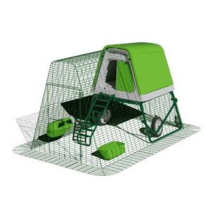 Green chicken coop with run and green feeder and waterer.